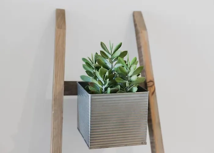 Casa Trinitaria Lejlighed *