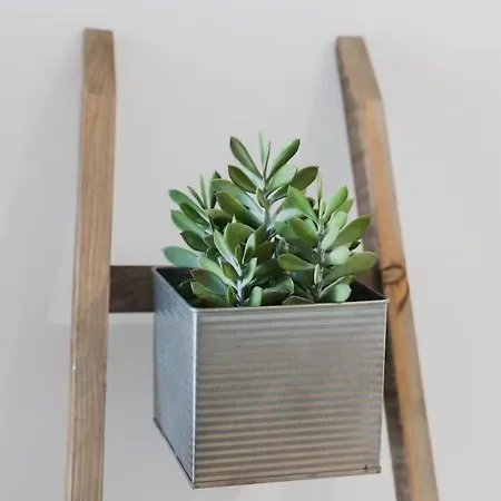 Casa Trinitaria דירה *